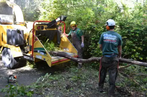 tree services Unionville